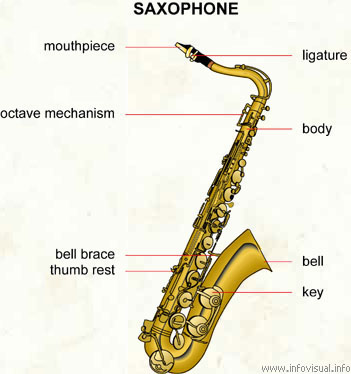 Saxophone (Dictionnaire Visuel)